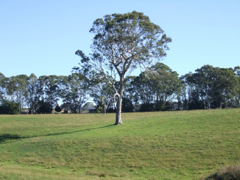 26 (Lot 60) Whitworth Drive, Nicholson VIC 3882