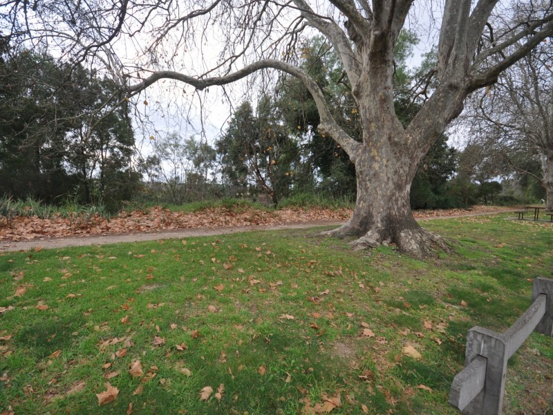 1/52 Riverine Street, Bairnsdale VIC 3875