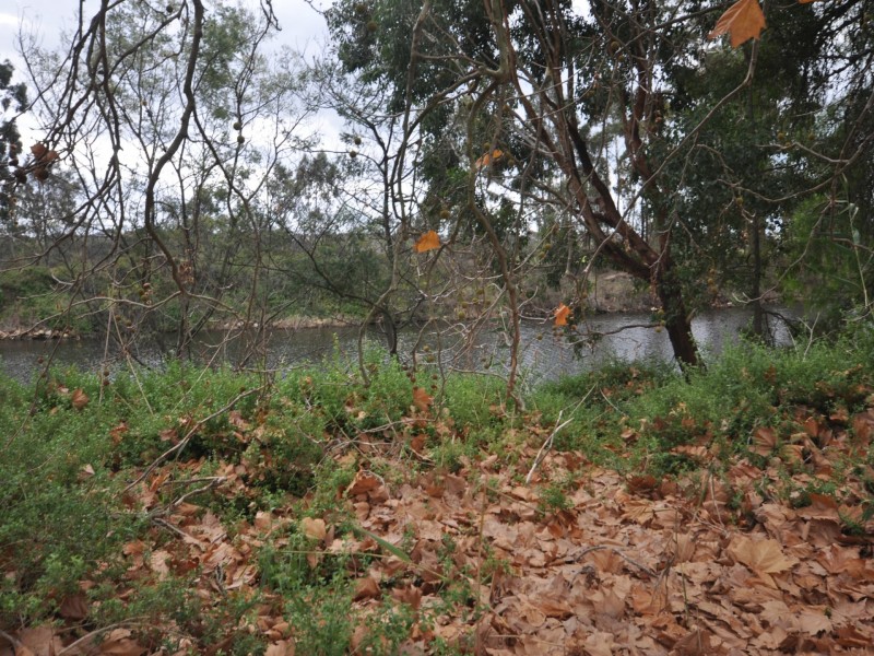 1/52 Riverine Street, Bairnsdale VIC 3875