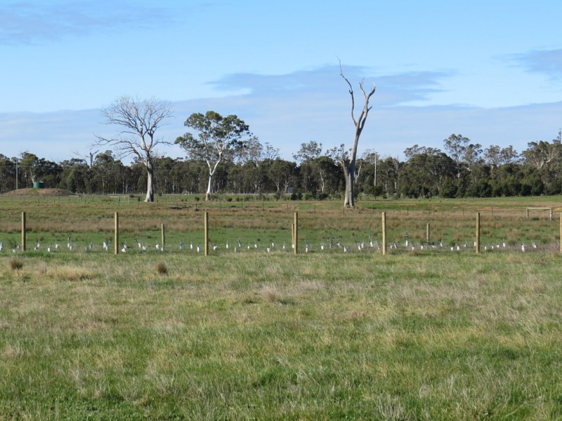 25 Hillside Lane, Hillside VIC 3875