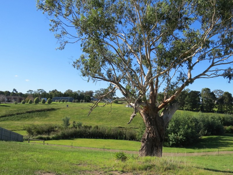 43 Eastern View Drive, Eastwood VIC 3875