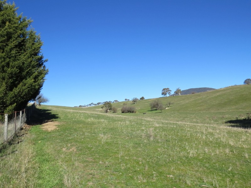 263 Day Avenue, Omeo VIC 3898