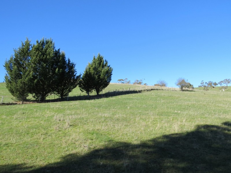 263 Day Avenue, Omeo VIC 3898