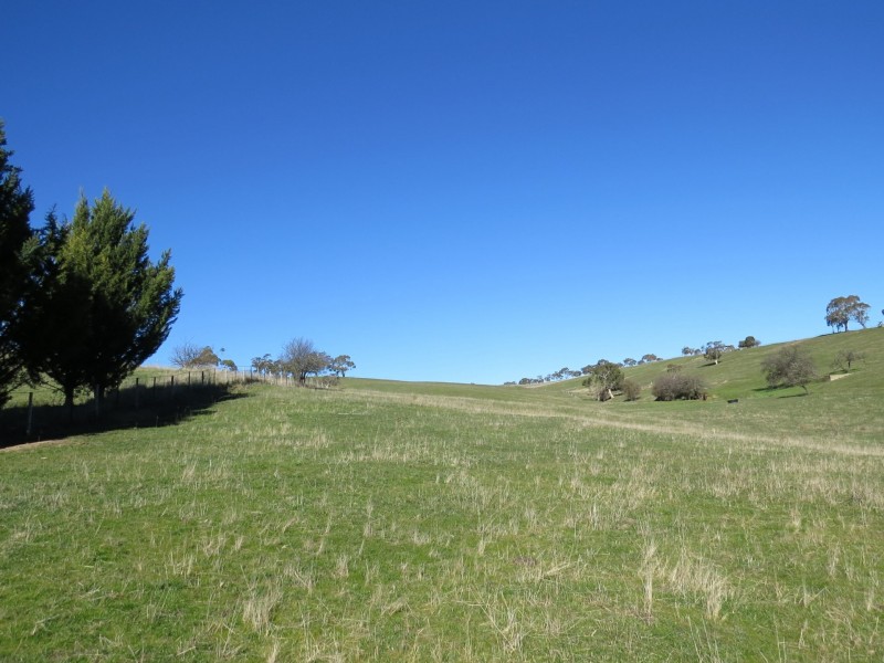 263 Day Avenue, Omeo VIC 3898