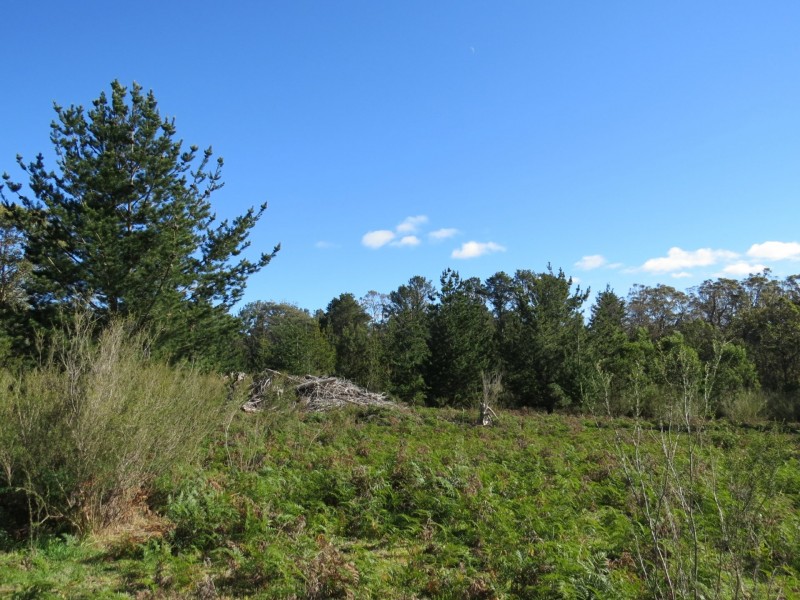 515 Lindenow- Glenaladale Rd, Lindenow South VIC 3875