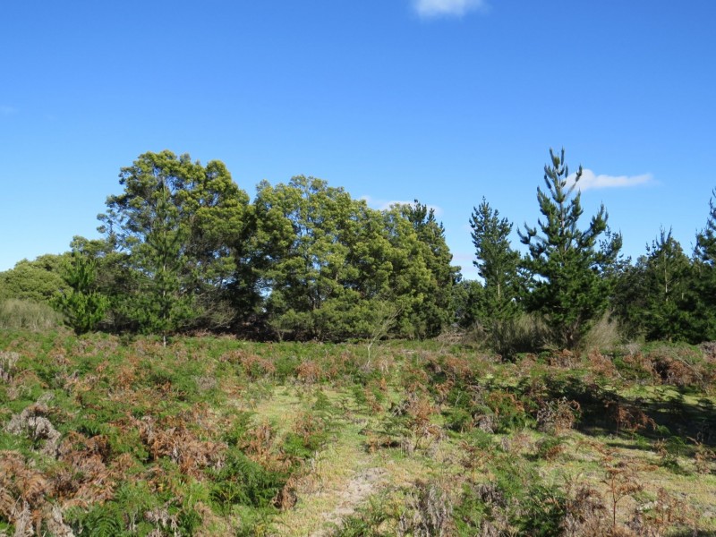 515 Lindenow- Glenaladale Rd, Lindenow South VIC 3875