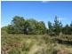 515 Lindenow- Glenaladale Rd, Lindenow South VIC 3875