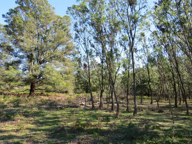 515 Lindenow- Glenaladale Rd, Lindenow South VIC 3875