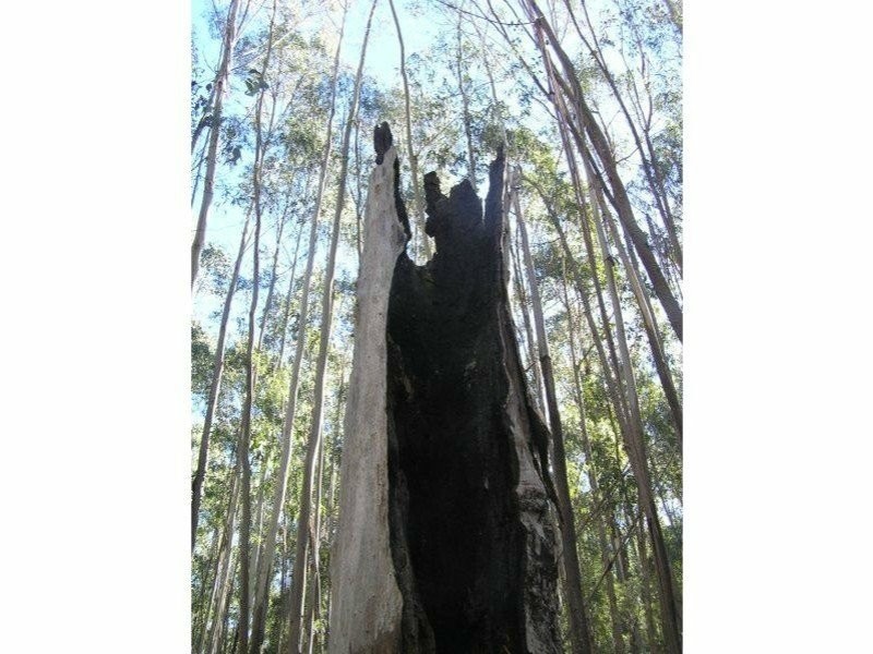 290 Fergusons Road, Buchan South VIC 3885