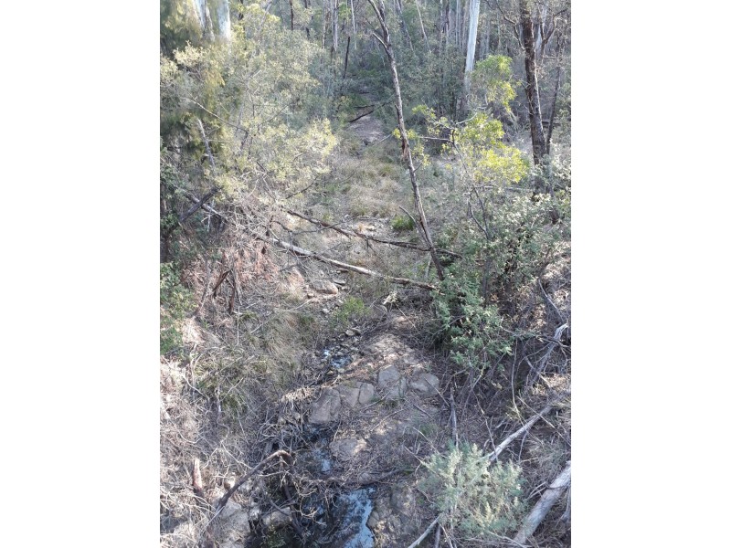 290 Fergusons Road, Buchan South VIC 3885