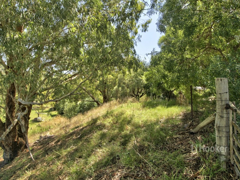 57 Old Pub Road, Ensay VIC 3895