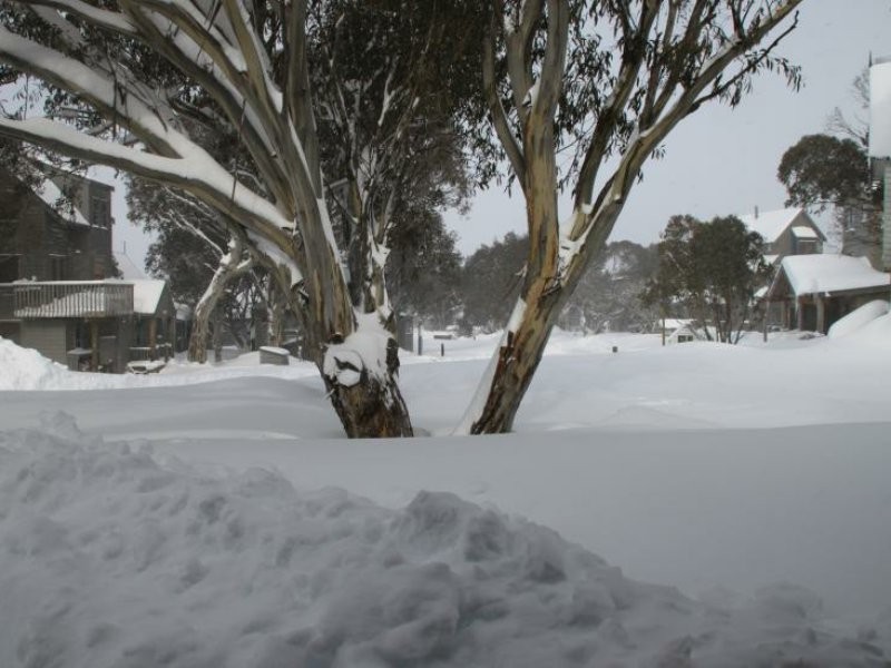 Dinner Plain VIC 3898