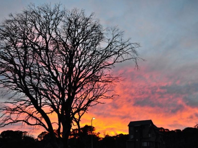 Dinner Plain VIC 3898