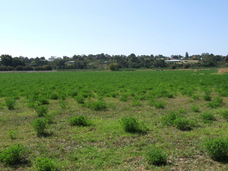 60 Webbs Road, Bairnsdale VIC 3875