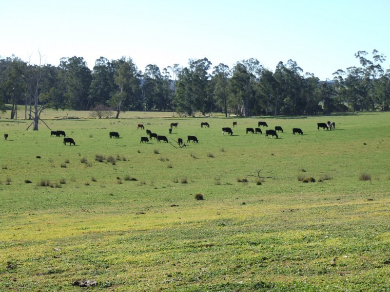 288 Holloways Road, Buchan South VIC 3885