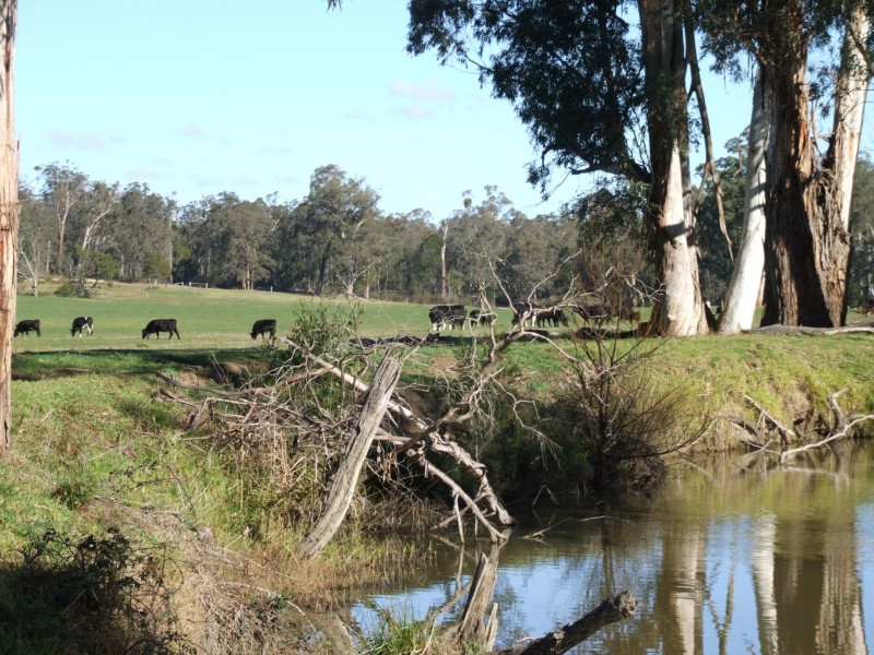 288 Holloways Road, Buchan South VIC 3885