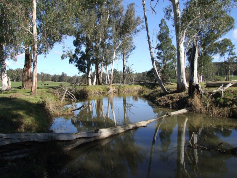 288 Holloways Road, Buchan South VIC 3885