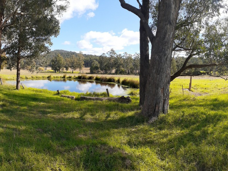 288 Holloways Road, Buchan South VIC 3885