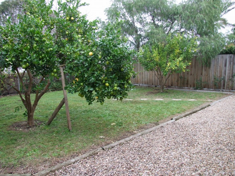 121 Drevermann Street, Bairnsdale VIC 3875