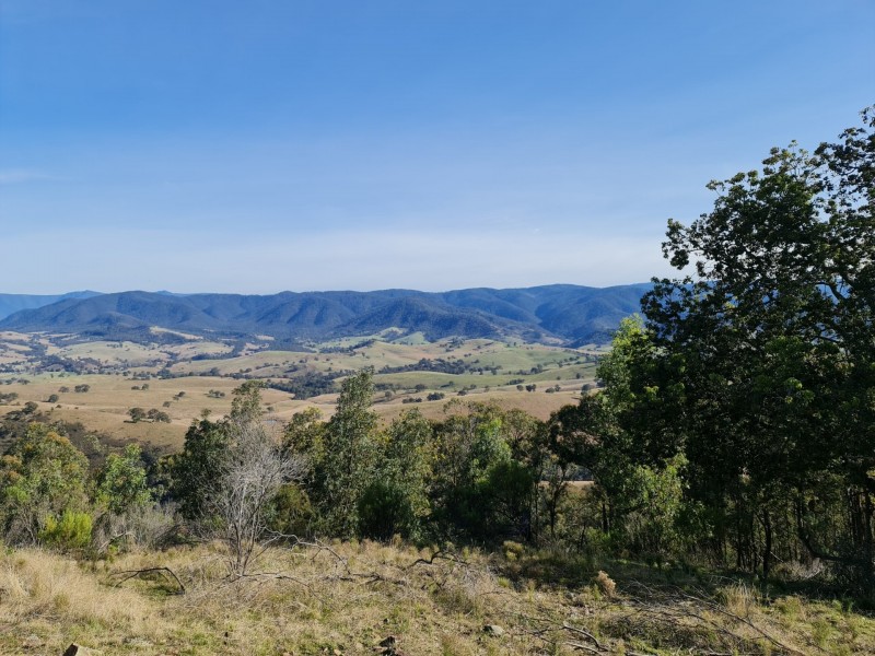 497B Omeo Road, Dargo VIC 3862