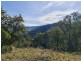 497B Omeo Road, Dargo VIC 3862