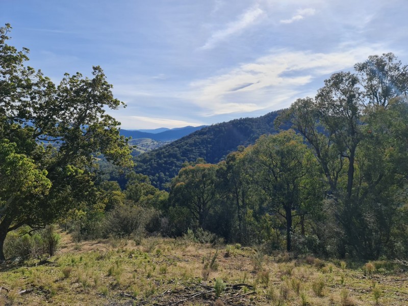 497B Omeo Road, Dargo VIC 3862