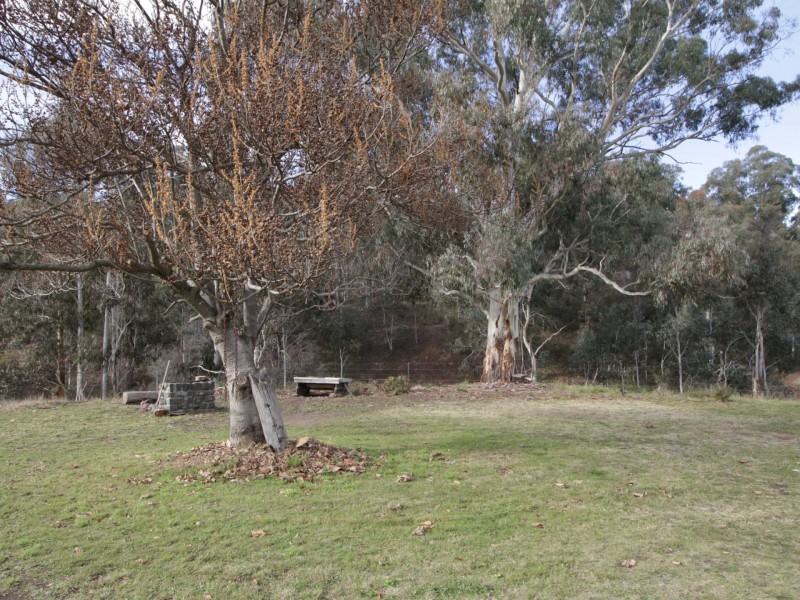 497B Omeo Road, Dargo VIC 3862