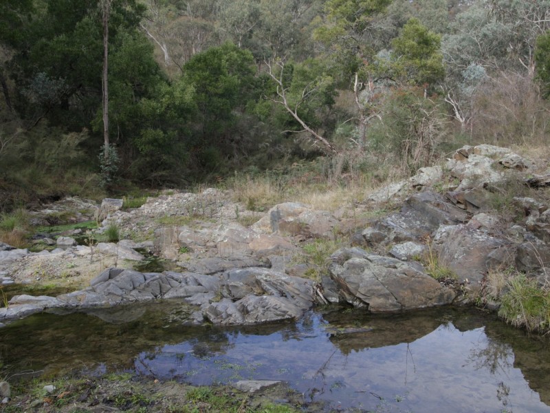 497B Omeo Road, Dargo VIC 3862