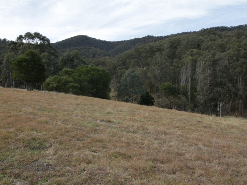 497B Omeo Road, Dargo VIC 3862