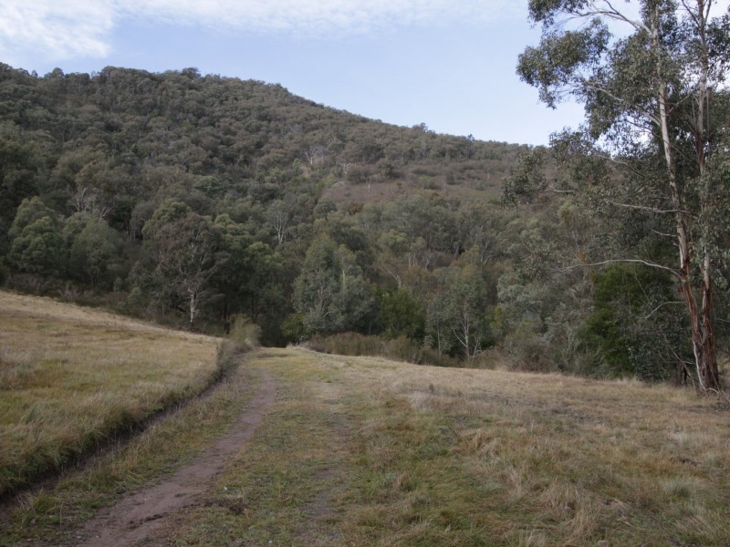 497B Omeo Road, Dargo VIC 3862