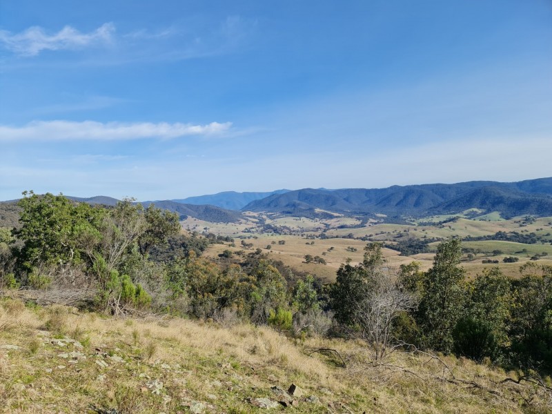 497B Omeo Road, Dargo VIC 3862