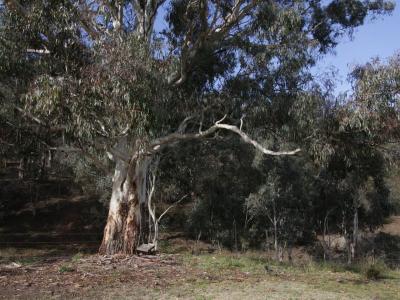 497B Omeo Road, Dargo VIC 3862