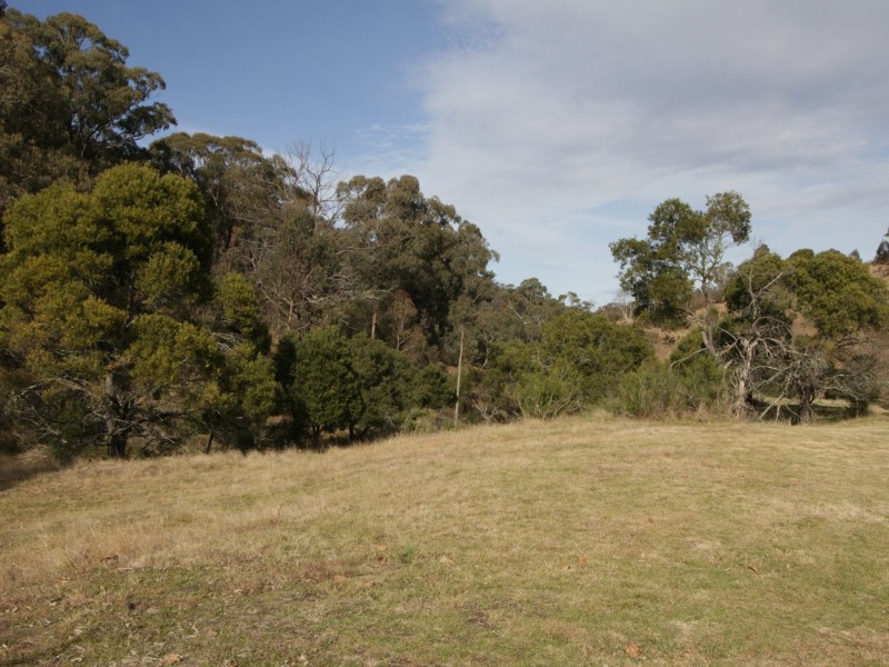 497B Omeo Road, Dargo VIC 3862