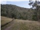 497B Omeo Road, Dargo VIC 3862