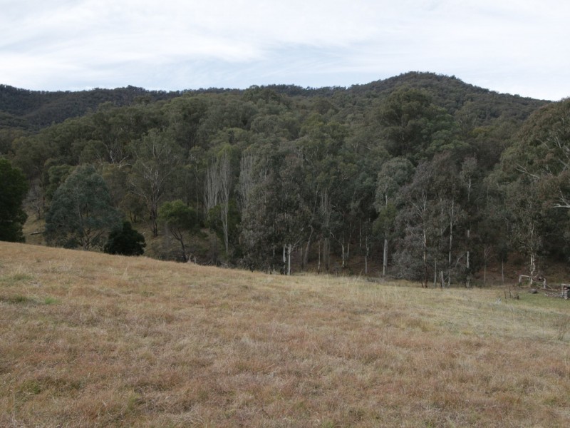 497B Omeo Road, Dargo VIC 3862