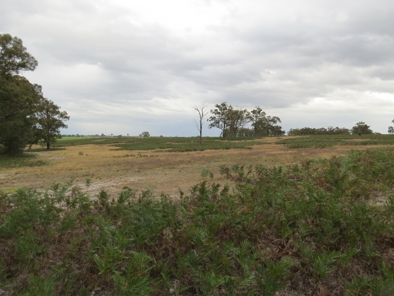 Lot 1 Turners Road, Perry Bridge VIC 3862