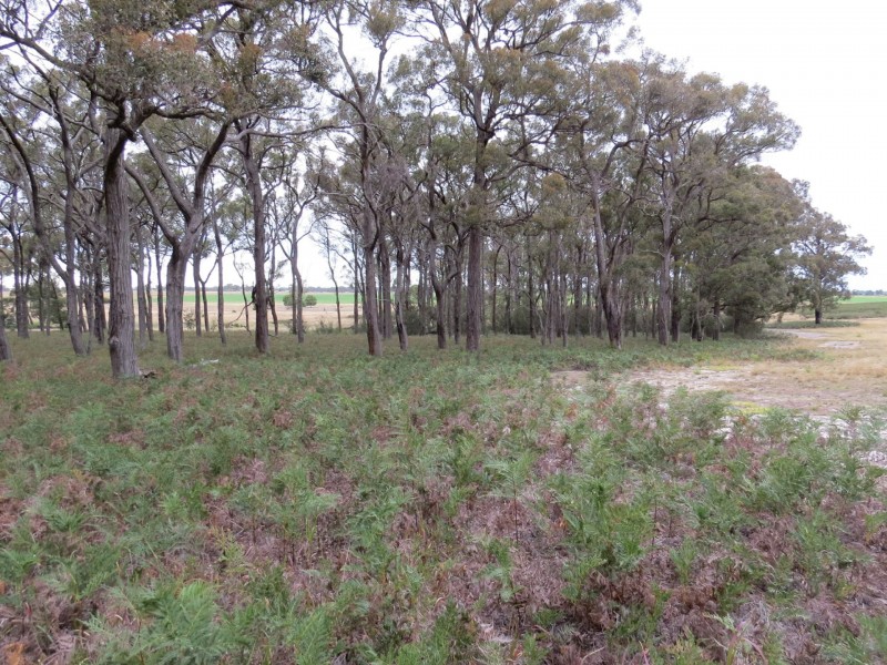 Lot 1 Turners Road, Perry Bridge VIC 3862