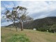 Lot 1 & 66/1 Wills Street, Omeo VIC 3898