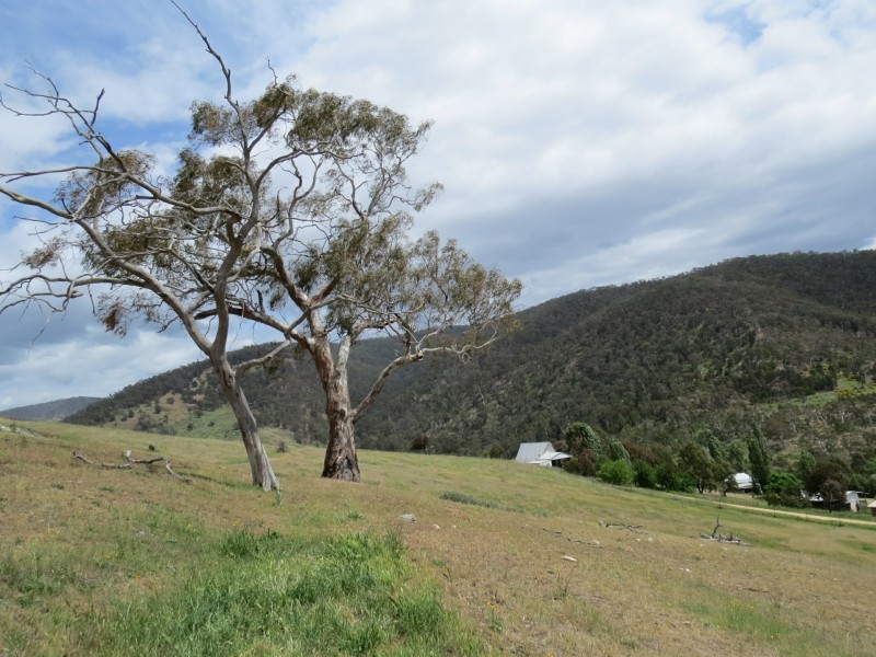 Lot 1 & 66/1 Wills Street, Omeo VIC 3898
