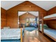2592 Gelantipy Road, W Tree VIC 3885