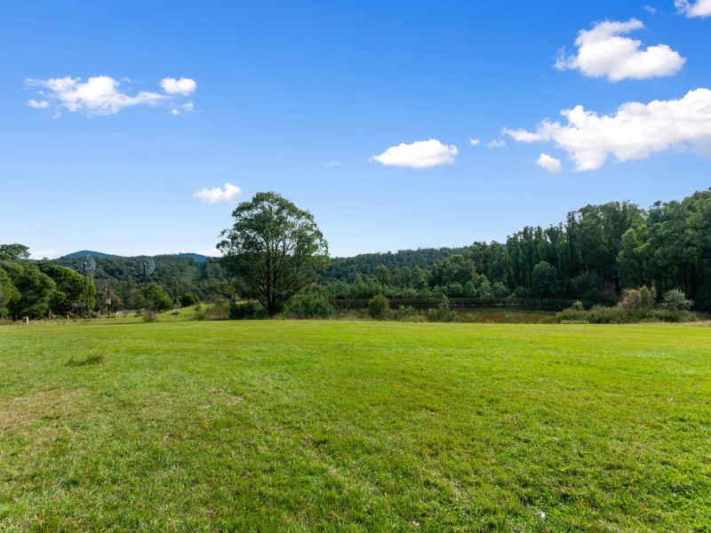 2592 Gelantipy Road, W Tree VIC 3885