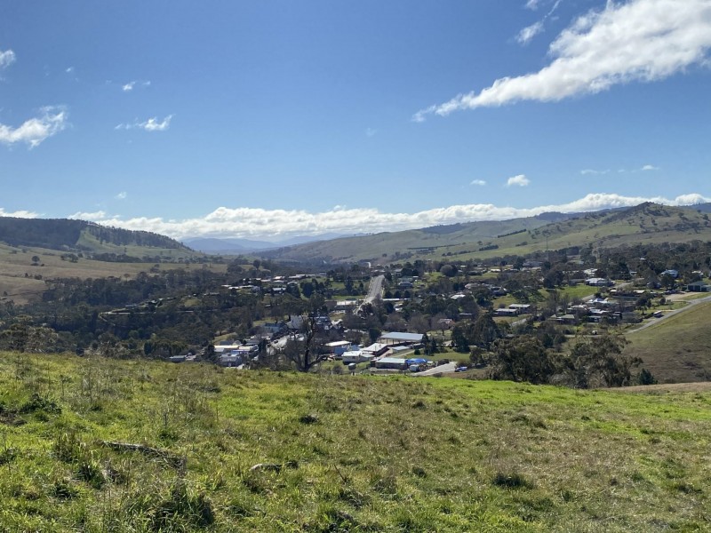 68 Tongio Road, Omeo VIC 3898