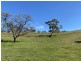 68 Tongio Road, Omeo VIC 3898