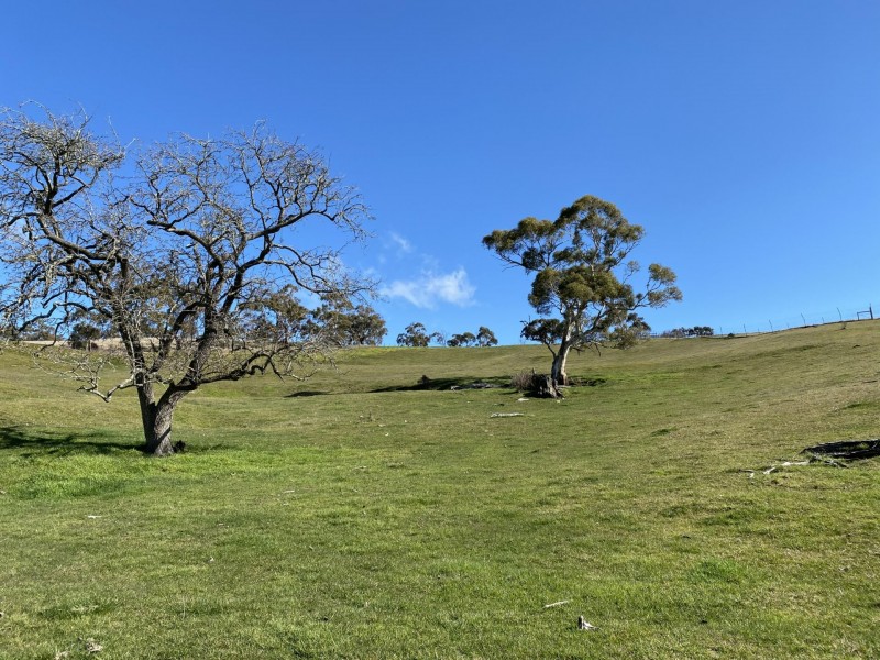 68 Tongio Road, Omeo VIC 3898