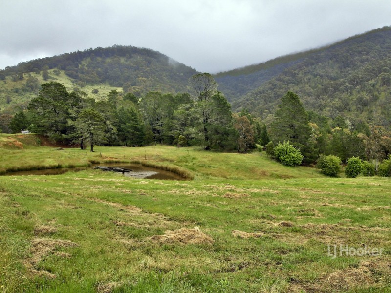 256 Day Avenue, Omeo VIC 3898