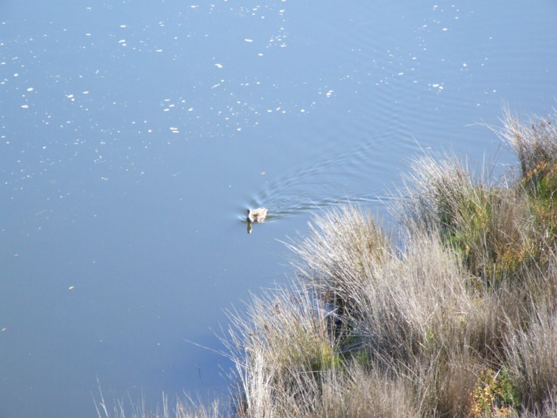 19 (Lot 45 ) Southon Terrace, Nicholson VIC 3882