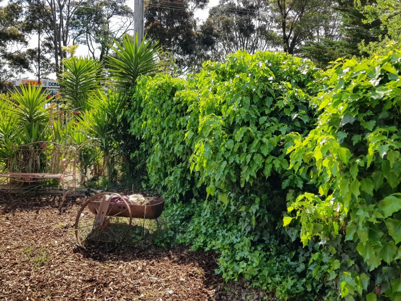 663 Main Street, Bairnsdale VIC 3875