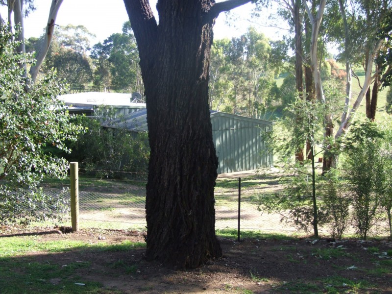 64 Lanteris Road, Wy Yung VIC 3875