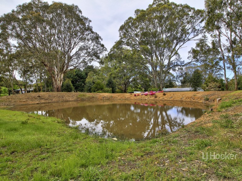 215 Nicholson Sarsfield Road, Nicholson VIC 3882