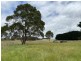 1E Bengworden Road, Meerlieu VIC 3862